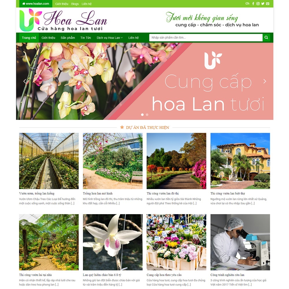 Thiết kế Website bán hoa lan